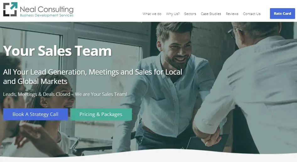 Neal Consulting homepage
